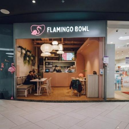 Flamingo Bowl kuva 2